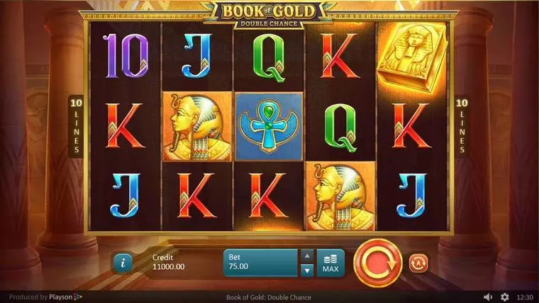  Main Screen Reels at Book of Gold: Double Chance 5 Reel Mobile Real Slot created by Playson
