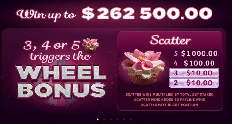  Info and Rules at Bridesmaids 5 Reel Mobile Real Slot created by Microgaming