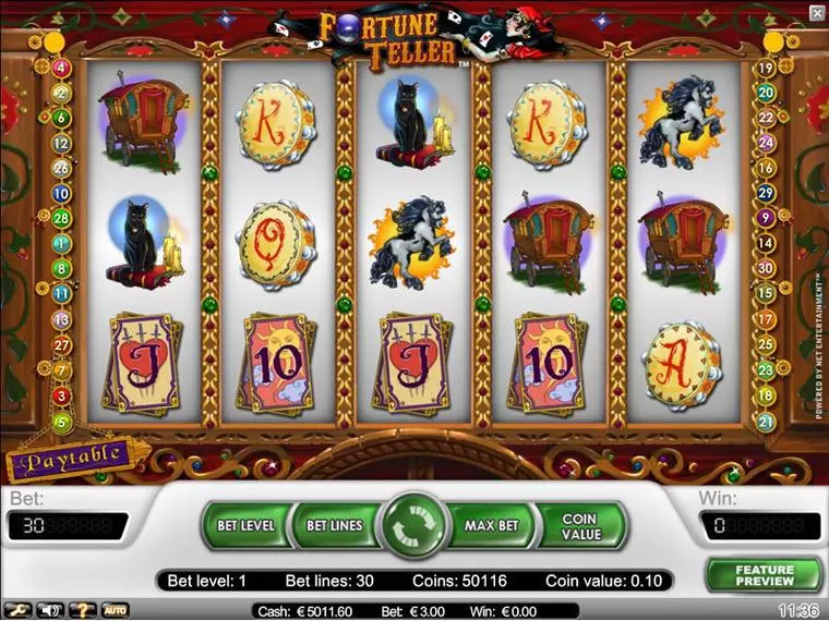  Main Screen Reels at Fortune Teller 5 Reel Mobile Real Slot created by NetEnt