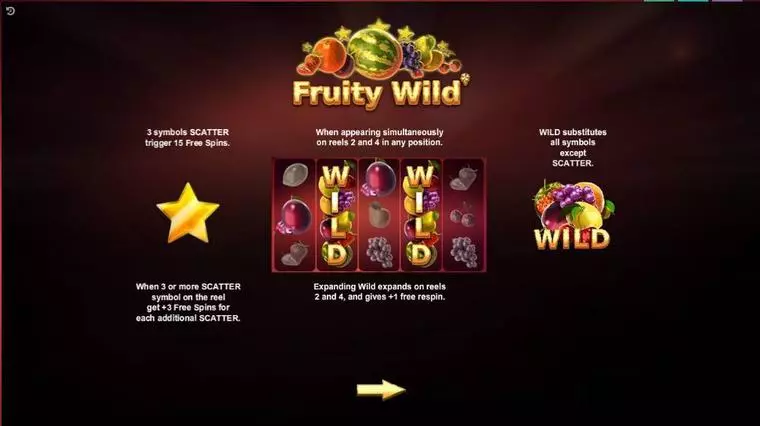  Info and Rules at Fruity Wild 5 Reel Mobile Real Slot created by Booongo