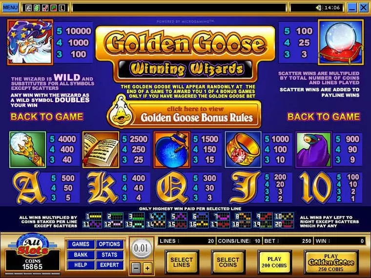  Info and Rules at Golden Goose - Winning Wizards 5 Reel Mobile Real Slot created by Microgaming