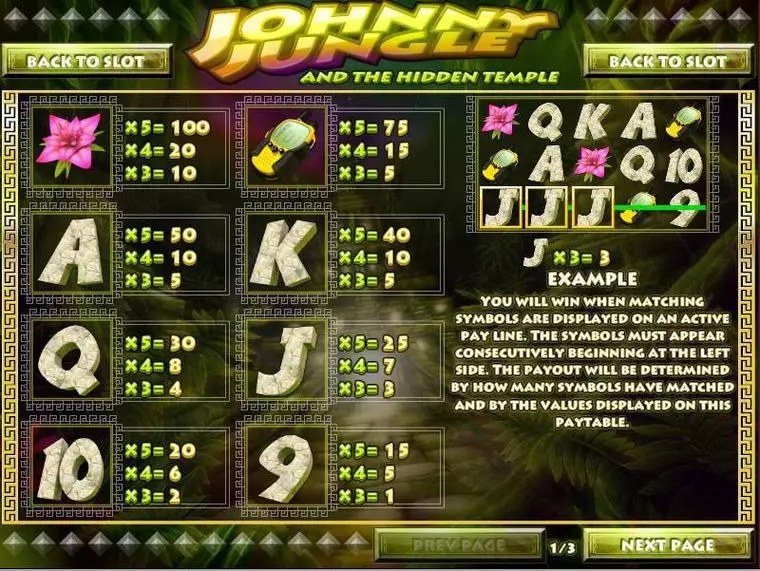  Info and Rules at Johnny Jungle 5 Reel Mobile Real Slot created by Rival