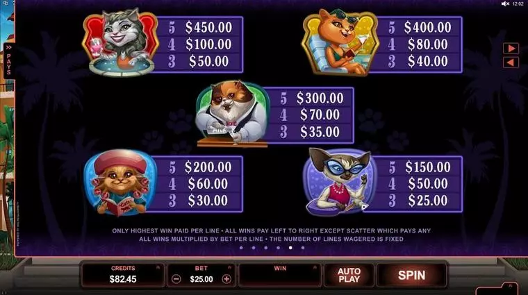  Info and Rules at Kitty Cabana 5 Reel Mobile Real Slot created by Microgaming