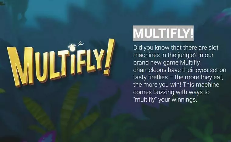 Info and Rules at Multifly!  Mobile Real Slot created by Yggdrasil