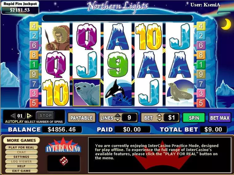  Main Screen Reels at Northern Lights 5 Reel Mobile Real Slot created by CryptoLogic