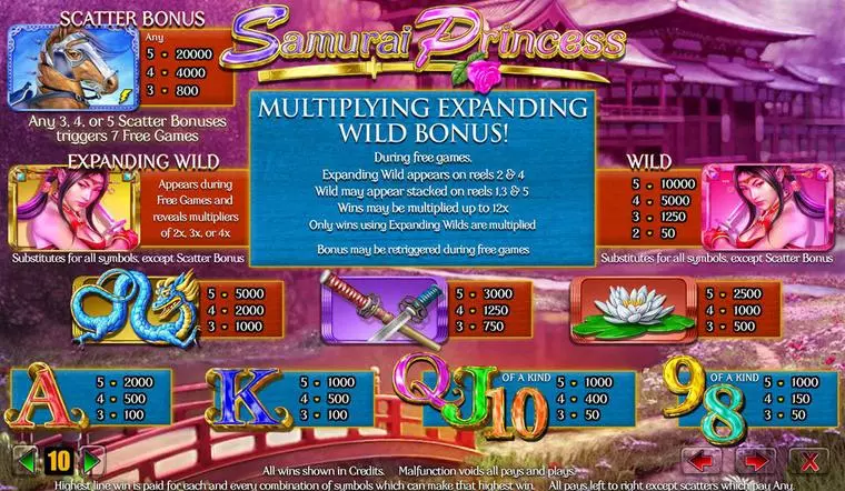 Info and Rules at Samurai Princess 5 Reel Mobile Real Slot created by Amaya