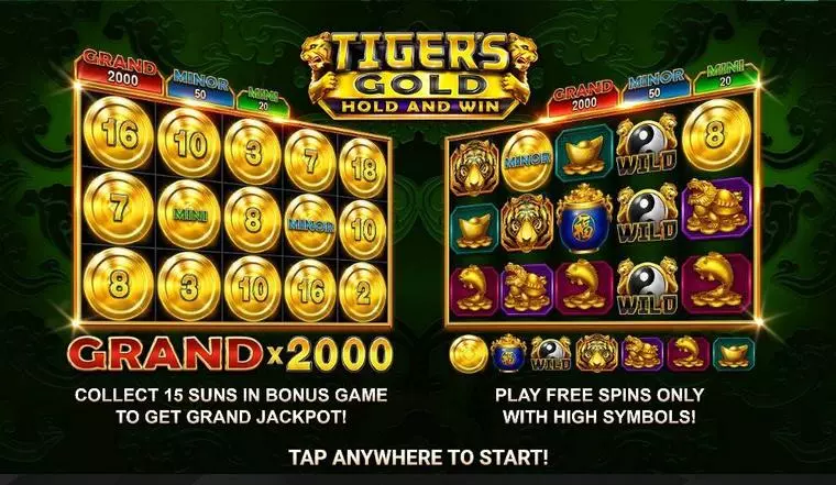  Info and Rules at Tiger's Gold: Hold and Win 5 Reel Mobile Real Slot created by Booongo