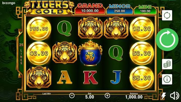  Main Screen Reels at Tiger's Gold: Hold and Win 5 Reel Mobile Real Slot created by Booongo