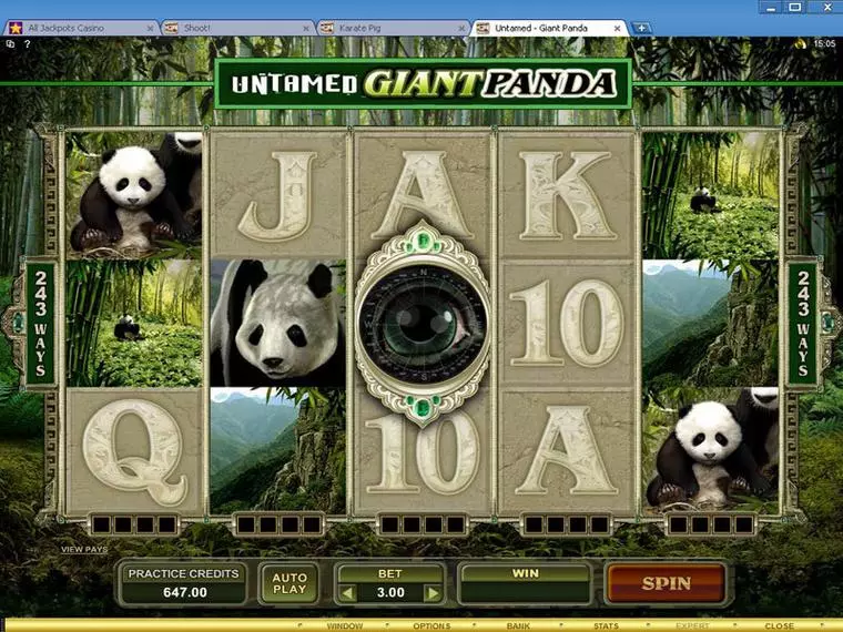  Main Screen Reels at Untamed - Giant Panda 5 Reel Mobile Real Slot created by Microgaming