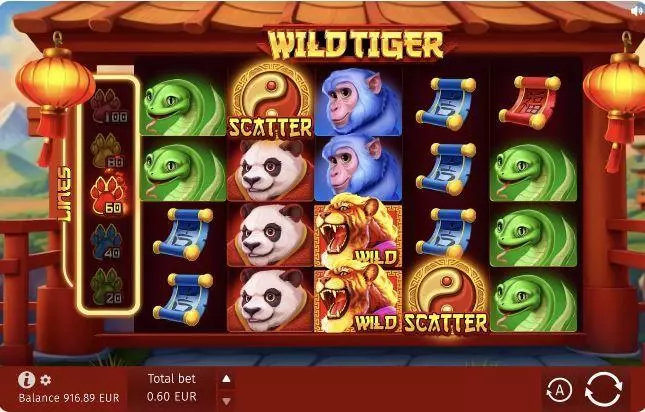  Main Screen Reels at Wild Tiger 5 Reel Mobile Real Slot created by BGaming